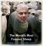 Blair, the world's second most famous sheep